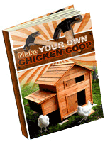 own chicken coop